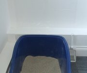 Helen Parkins  Magic Whiteboard used&nbsp;to protect walls from cats