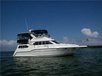Boat and Yacht Magic Blackout Blind