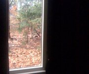 Magic Blackout Blind applied to right hand side lodge bedroom window at Center Parcs Longleet. It stops all light.