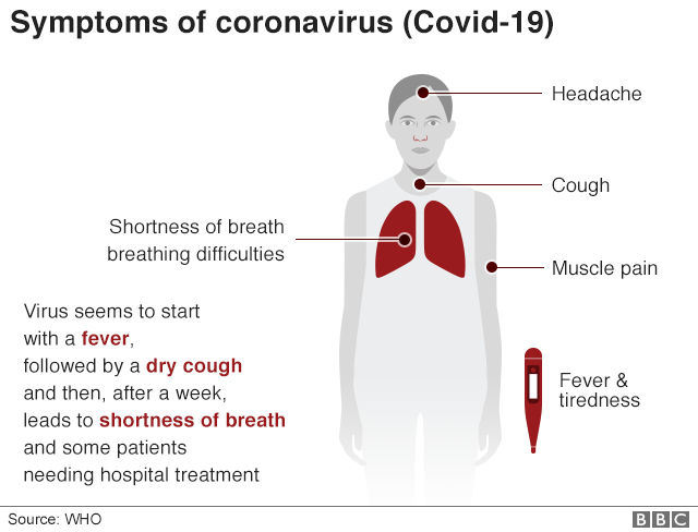 How to tell if you have Corona Virus - The Symptoms of ...